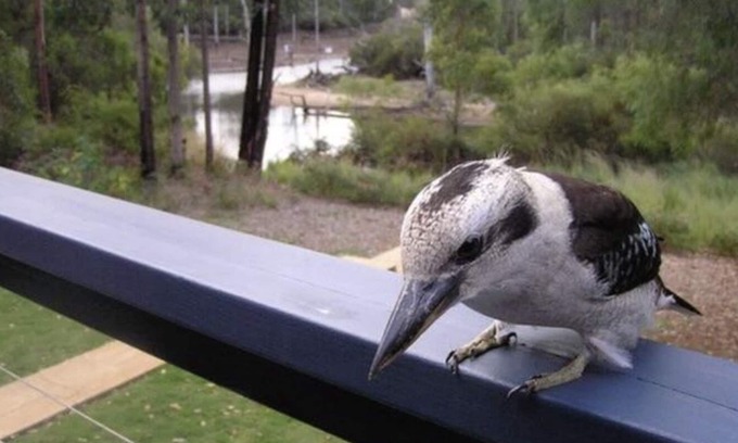 Margaret River House | Riversedge Retreat - 5 min walk into town