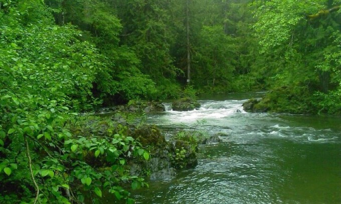 Shawnigan Lake House | ~♡RIVERSIDE. 3+Den BR Cabin Offgrid. Famiy Friendly. Off- season rates. Inquire!