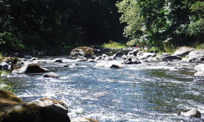 Battle Ground Cottage | RIVERSIDE Cottage on the East Fork Lewis River