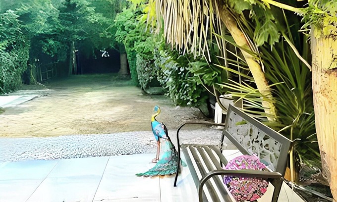 Cray Valley West House | Robin Apartment (2-bedroom Luxury) in Greater London.with an upright Piano!