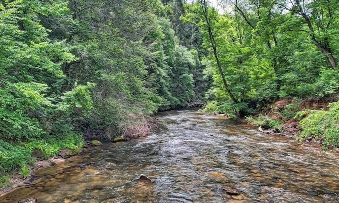 Cashes Valley Cabin | Rock N' River- Riverside retreat | Year Round Trout Stream | Master on Main