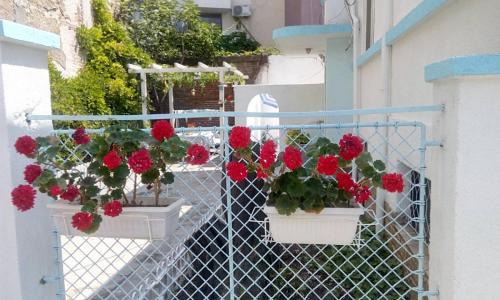 Old Town House | Romance