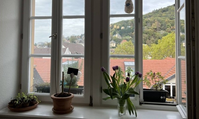 Heidelberg City Centre House | Romantic city apartment in the heart of Heidelberg