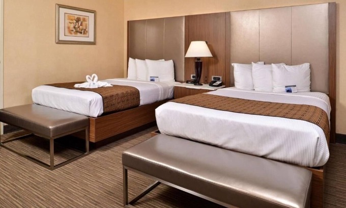 Hollywood Hotel | Room Near Iconic Hollywood Attractions Like Runyon Canyon & More
