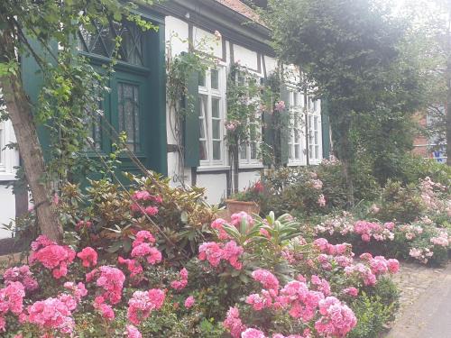 Halle Bed & Breakfast | Rosindell cottage