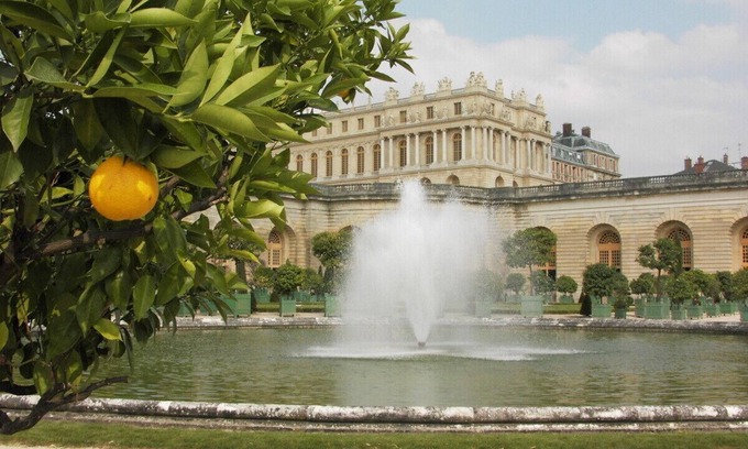 Notre-Dame Apartment | Royal apart/2 bedrooms on garden/quiet/central/palace 7 mn/2 pers max