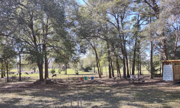Lake City RV Rental | Rustic Country Camp Site for your tents
