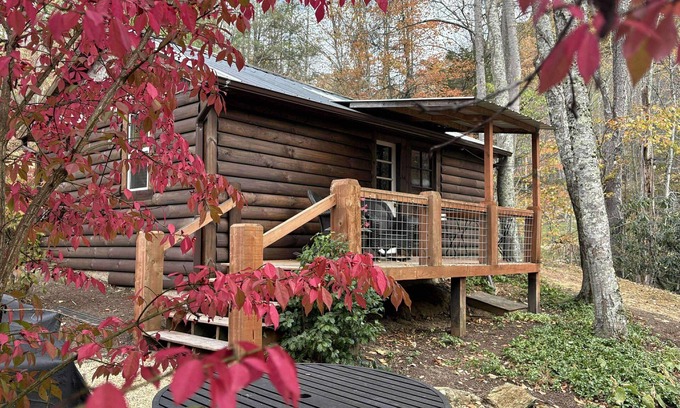 Roan Mountain Cabin | Rustic Ridge a cabin close to hiking and skiing!