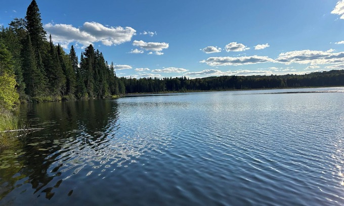 Hastings Highlands House | Rutledge Lake Retreat - Surrounded by 58 acres of Forest with Private Lake