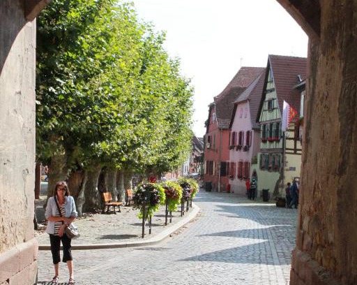 Bergheim Apartment | s'Harzala Vert