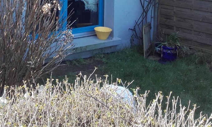 Rotheneuf-Le Pont Apartment | Saint Malo pointe de la varde sea view