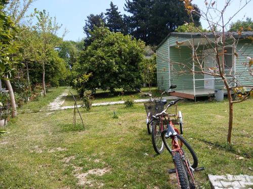 Cirali House | Saklı Bahçe Pension