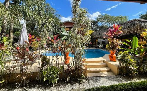 Samara Hotel | Samara Palm Lodge