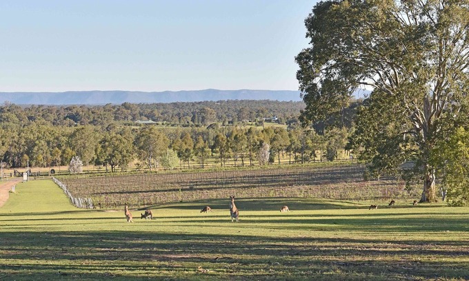Lovedale House | Sandalyn Estate Hunter Valley