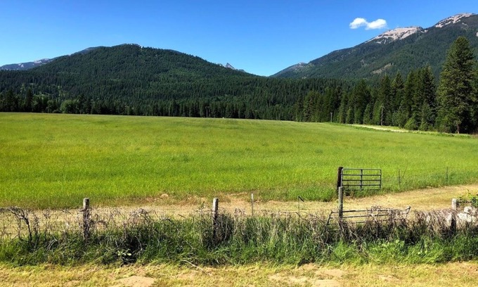 Heron House | Sawtooth View