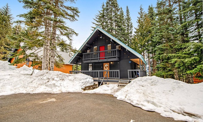 Hyak House | Scandinavian Lodge-Inspired Home w/High-Speed WiFi, Wood Stove, & Washer/Dryer