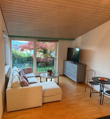 Allensbach Apartment | Schöne Ferienwohnung mit Seeblick