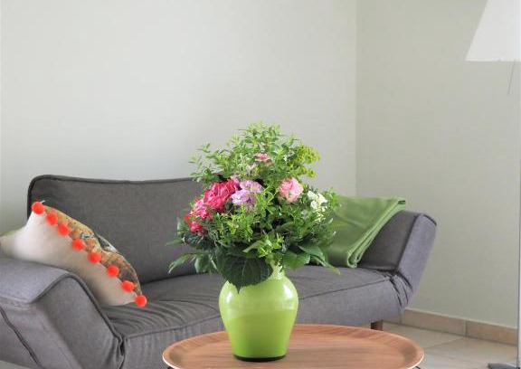 Ibbenbueren Apartment | Schickes Wohnstudio mit Garten am Aasee