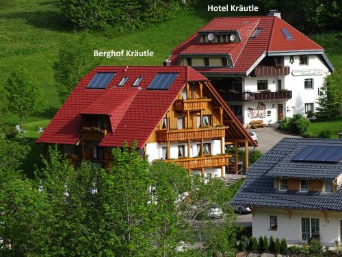 Neuglashutten Apartment | Schwarzwald-Hotel Kraeutle