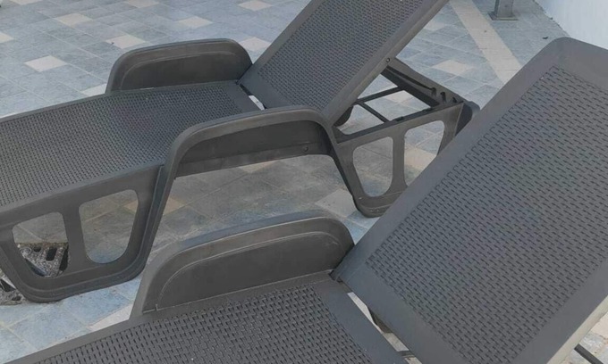 Tolfa House | Sea lilies