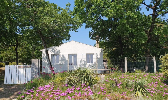 Boyardville House | Sea view, Fort Royer beach 2 steps away, enclosed wooded grounds 1400 m², 3 terraces, GOLF