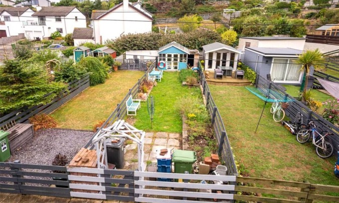Trearddur Bay House | Seabird of Trearddur Bay Anglesey