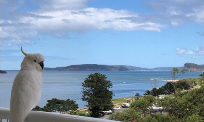 Ettalong Beach House | SEASHELLS - ETTALONG BEACH RESORT