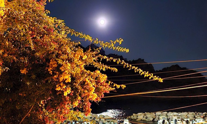 Ensues-la-Redonne House | Seaside cottage in the calanques: a haven of tranquillity!