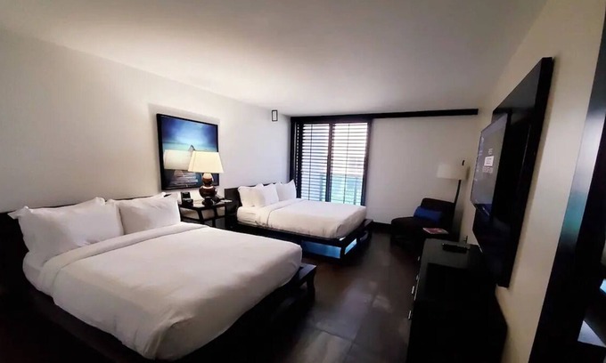 Palm Beach House | Seaside Retreat! 4 Relaxing Rooms | Beachfront | Panoramic View + Free Parking