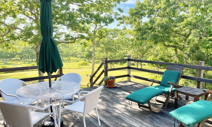 Edgartown House | Secluded Cottage on Several Private Acres, Deck, Fireplace, Walk to Beach!