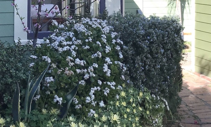 Burlingame Cottage | Secluded Guest Cottage in Historical South Park **New Remodel