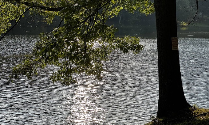 Douglasville House | Secluded Lake Front Home on 2 acres with Walking Trails & More 🌲🦆🐟