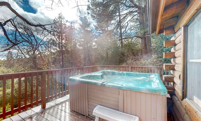Pine Cove Cabin | Secluded mtn-view cabin with deck,hot tub, grill, wood stove - dog-friendly