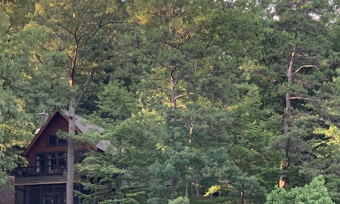 Big Creek Cabin | Secluded retreat in the woods on Big Creek.