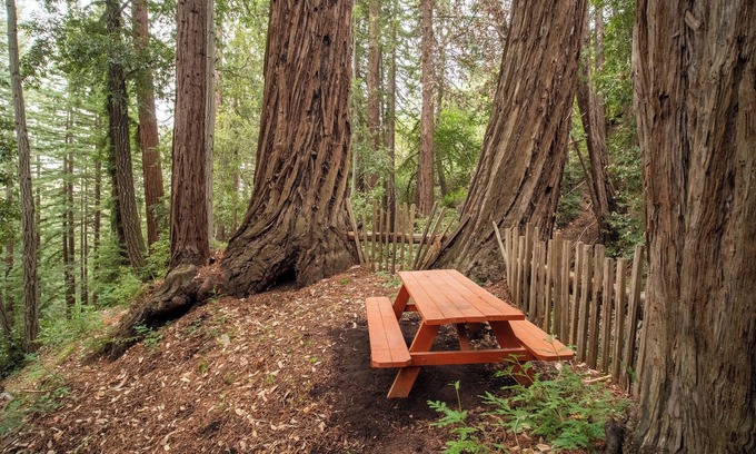 Los Gatos RV Rental | Secluded Small Rustic Camping Cabin In the Redwoods in 45acre Mountain Retreat
