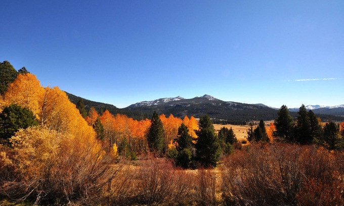 Kirkwood Condo | Second Floor Luxury at The Meadows 213 in Kirkwood Resort