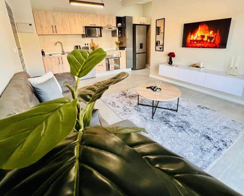 Gaborone Apartment | Selemo Luxury Apartments