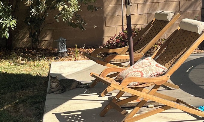 Canyon Lake Apartment | Self Contained, Lake Community, 3 bed, 2 bath 1500 sq ft Apartment