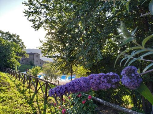 Caprese Michelangelo House | Selvadonica