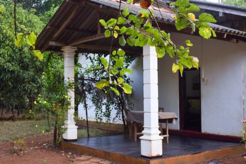 Dambulla Bed & Breakfast | Senu Homestay