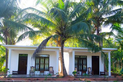 Sigiriya Bed & Breakfast | Shady mango villa