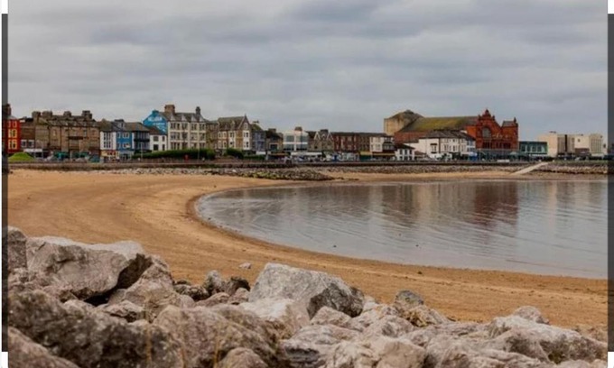 Morecambe Other | Shear water