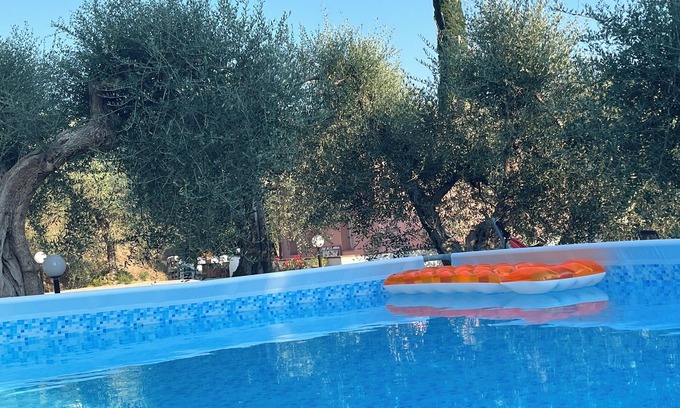 Montopoli in Val d'Arno House | Shelter among olive trees, Tuscan countryside, a stone's throw from characteristic cities