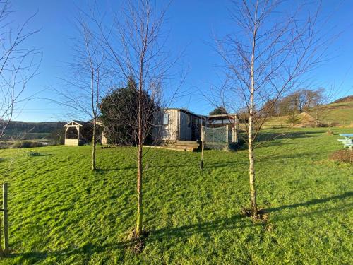 Newbridge House | Shepherds hut-hot tub-dog friendly -views