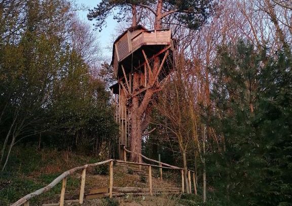 Etretat Bed & Breakfast | SHERWOOD TREE