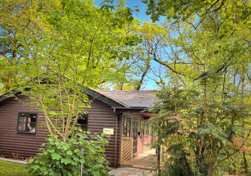 Llanybri Ski Chalet | Shrew Lodge-woodland Lodges-Hot Tub-Pembrokeshire-Tenby