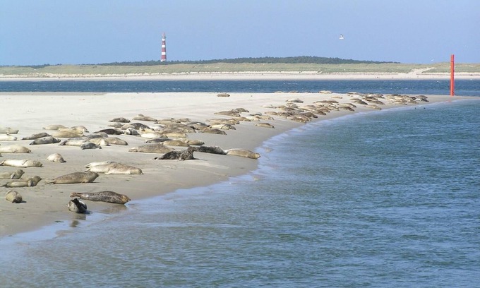 Hollum Hotel | Sier aan Zee
