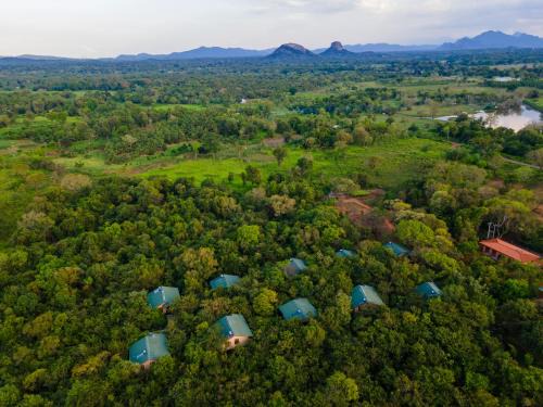 Dambulla Resort | Sigiriya Forest Edge By Marino Leisure