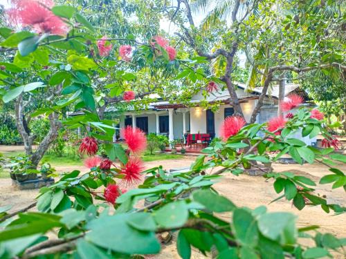 Sigiriya House | Sigiriya Moon Mirage Villa