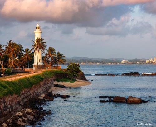 Galle House | Silva Nest - Galle
